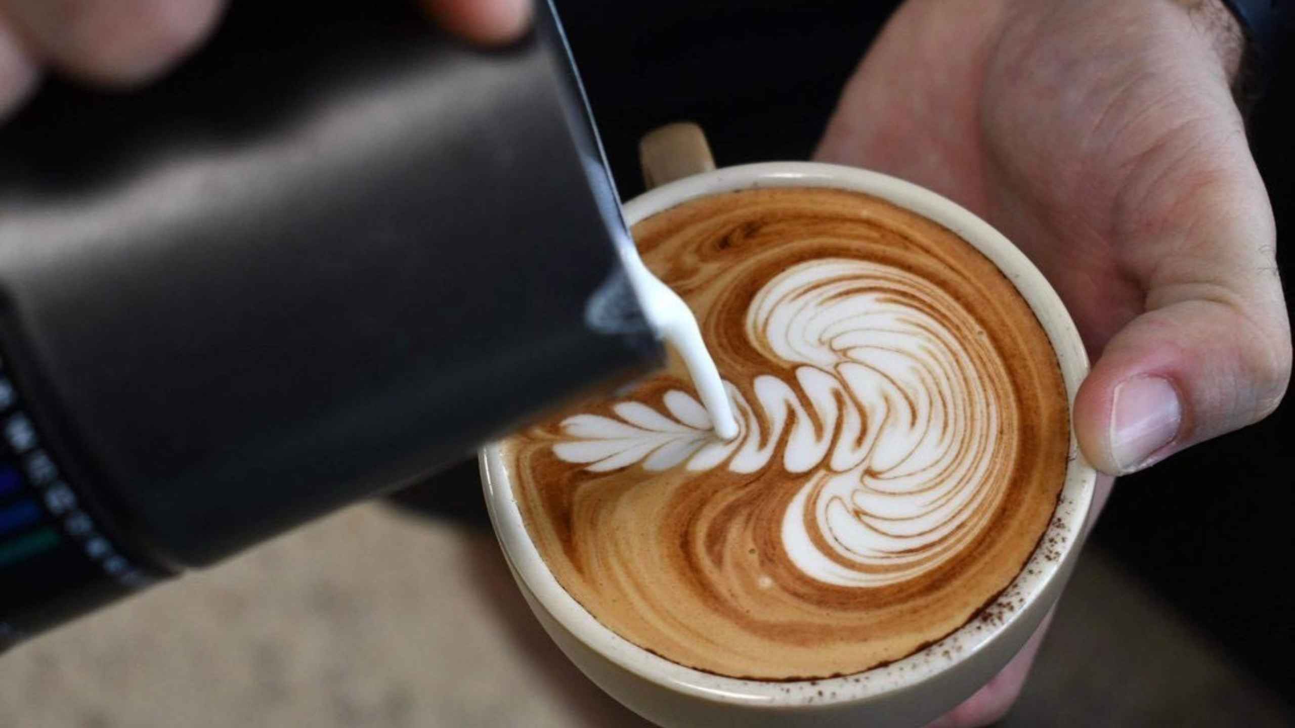 Top 10 coffee roasteries & cafés in Adelaide's western suburbs
